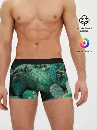 Мужские трусы боксеры / кактусы с цветами реализм