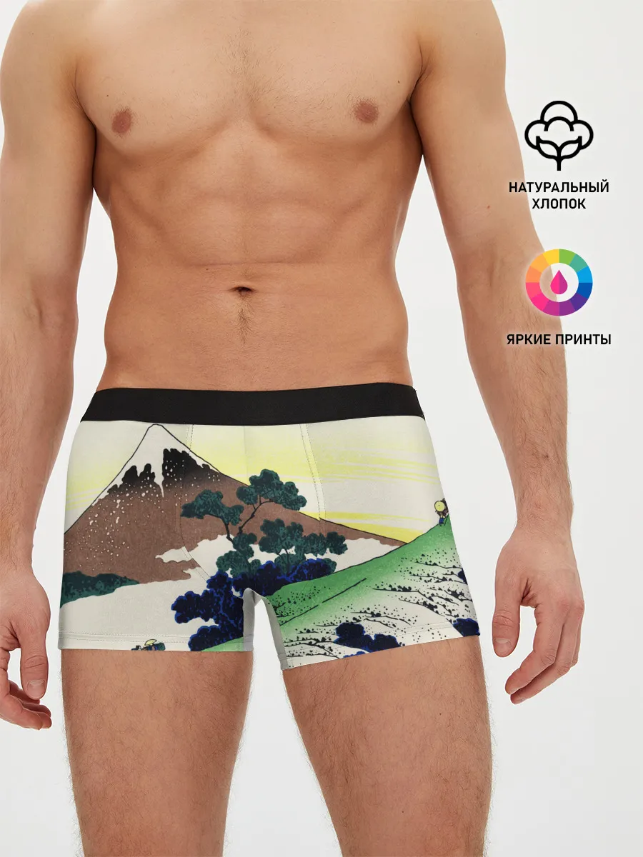 Мужские трусы боксеры / ЯПОНИЯ