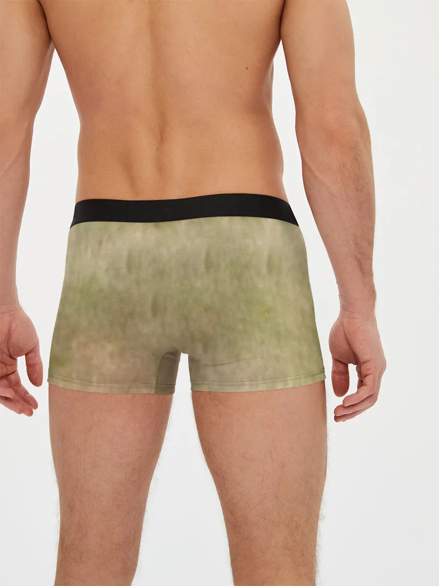 Мужские трусы боксеры / Lion King