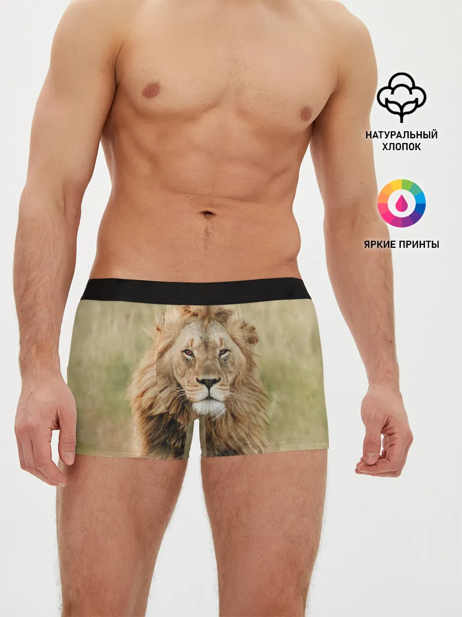 Мужские трусы боксеры / Lion King