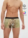 Мужские трусы боксеры / Lion King