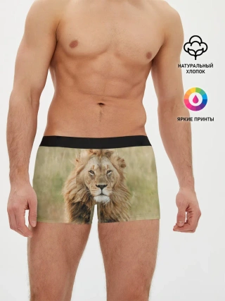 Мужские трусы боксеры / Lion King