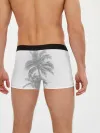 Мужские трусы боксеры / Пальмы над головой