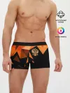 Мужские трусы боксеры / Россия