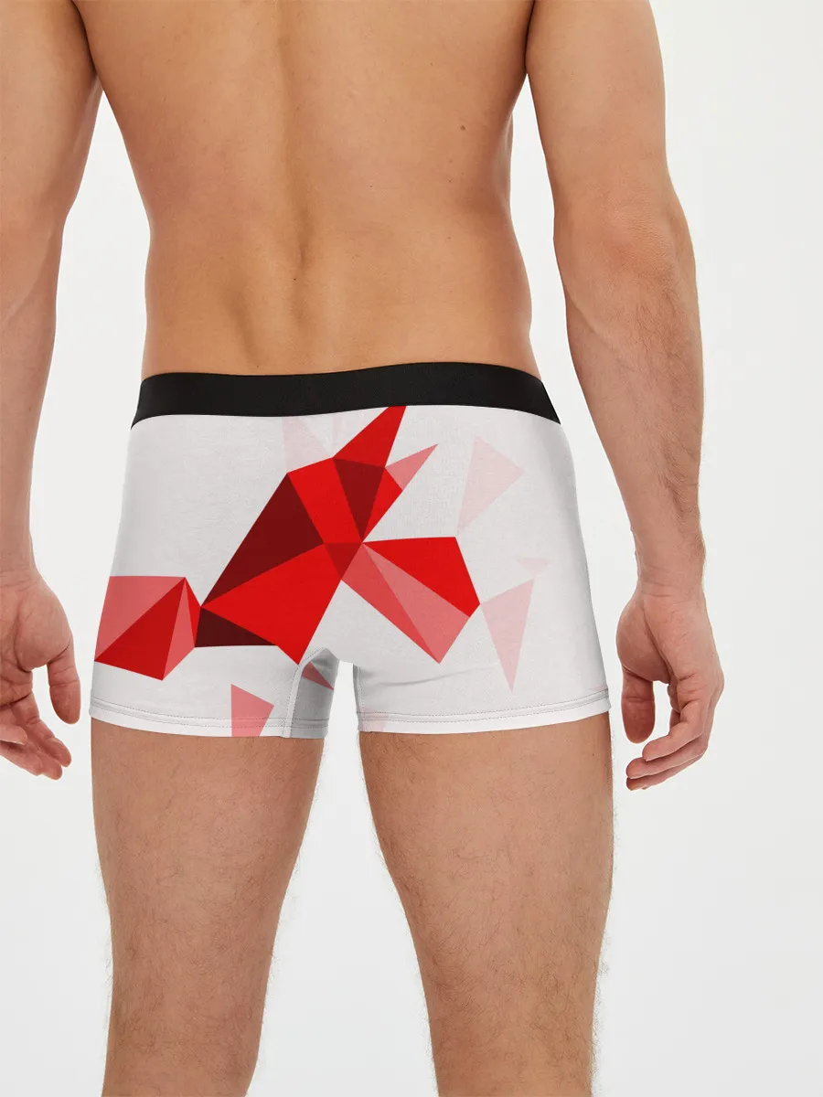 Мужские трусы боксеры / GEOMETRY RED