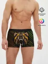 Мужские трусы боксеры / Angry Bear