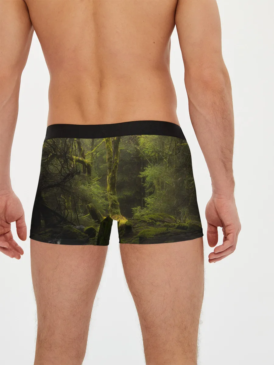 Мужские трусы боксеры / THE LAST OF US