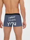 Мужские трусы боксеры / I want to hate you
