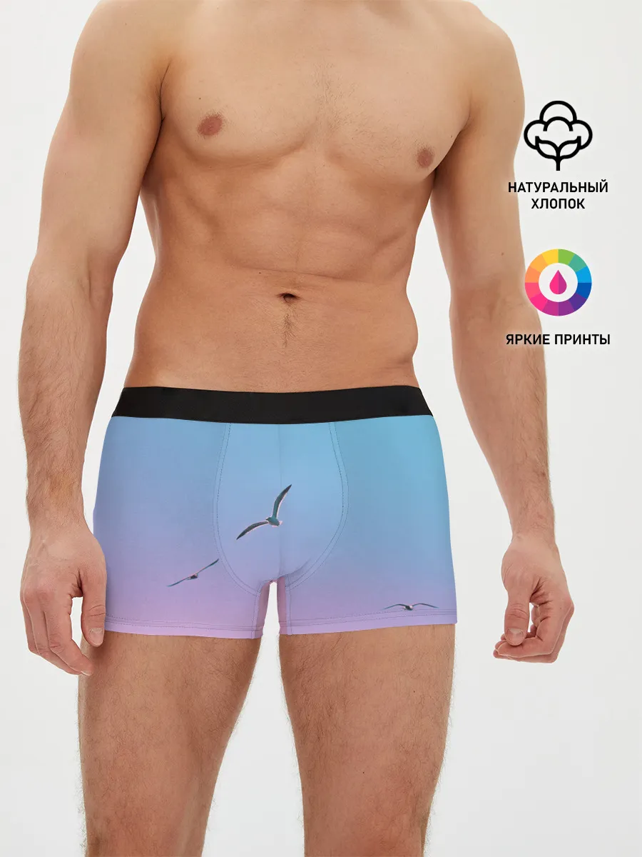 Мужские трусы боксеры / чайки птицы полет градиент