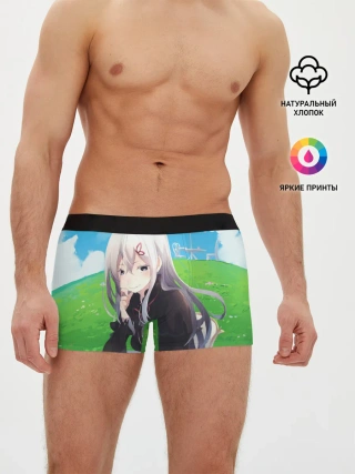 Мужские трусы боксеры / Echidna