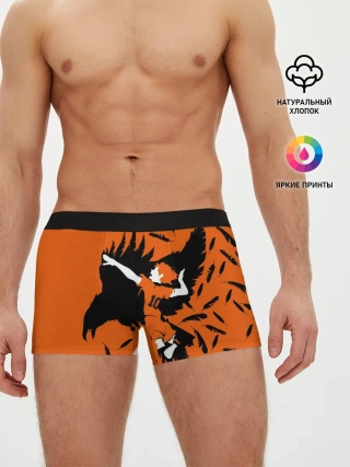Мужские трусы боксеры / ХИНАТА | FLY!!