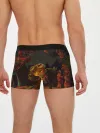 Мужские трусы боксеры / PsychoNauts 2 Распутин