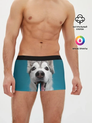 Мужские трусы боксеры / Хаски