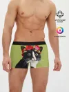 Мужские трусы боксеры / Кот и цветы