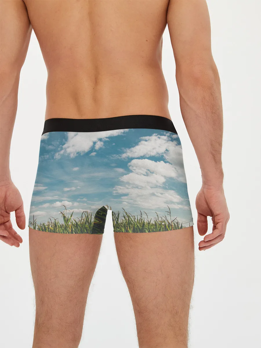 Мужские трусы боксеры / Небушко и полюшко