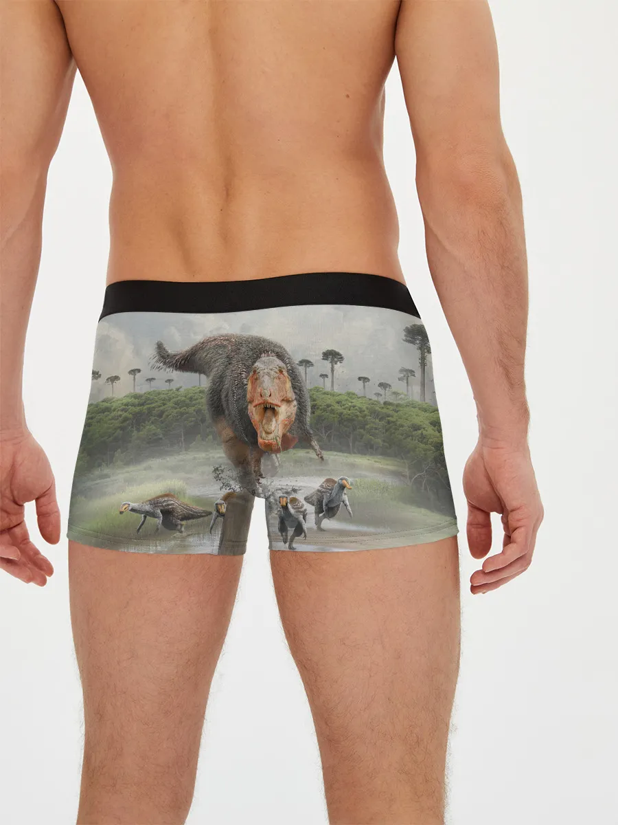 Мужские трусы боксеры / Т-Рекс | Динозавр | Dino