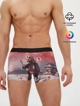 Мужские трусы боксеры / Ghost of Tsushim | Призрак Цусимы