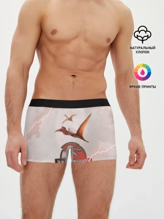 Мужские трусы боксеры / Птеродактили | Мир Юрского Периода