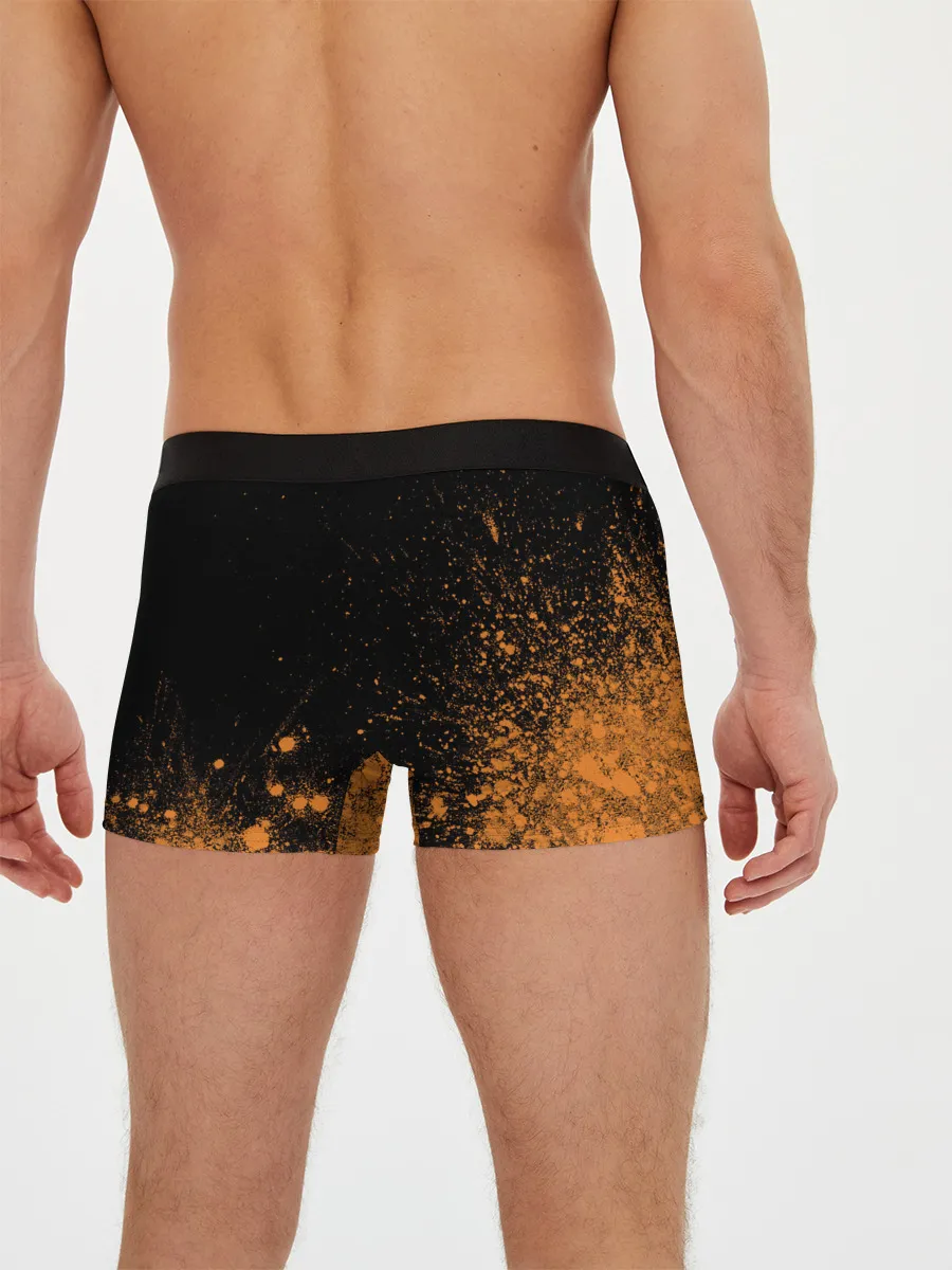 Мужские трусы боксеры / Foxy - Paint