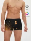 Мужские трусы боксеры / Foxy - Paint