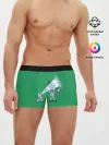 Мужские трусы боксеры / Неугомонный Сквиртл