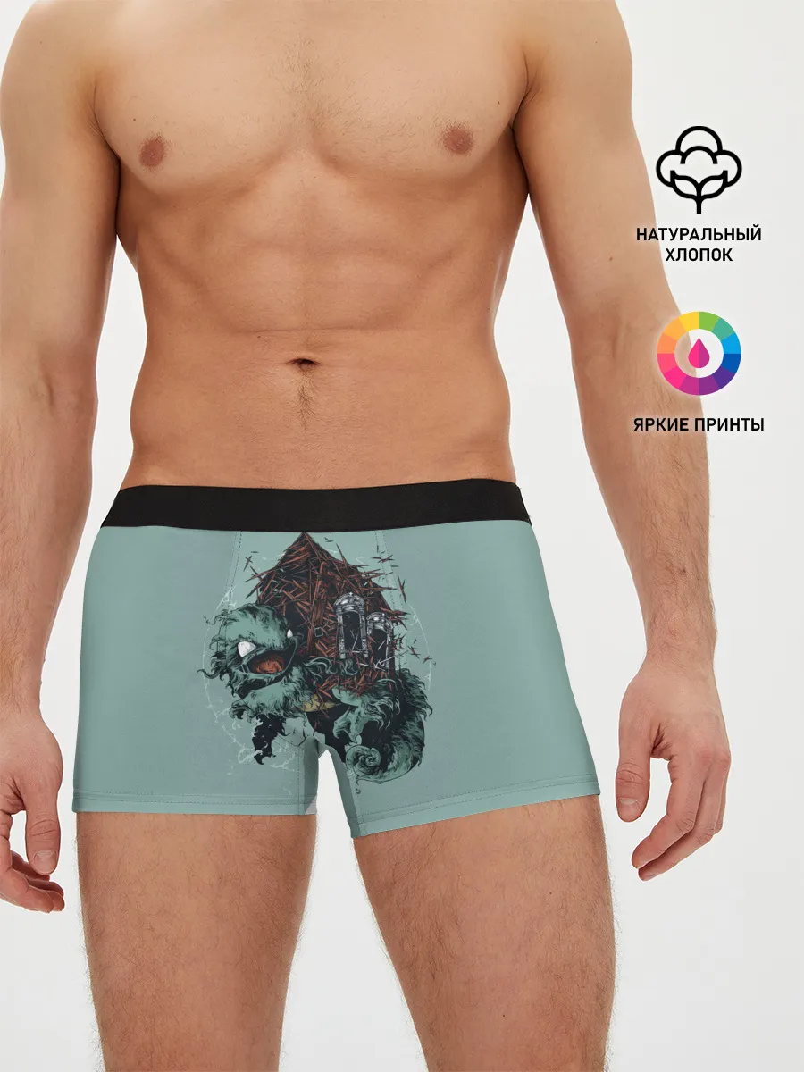 Мужские трусы боксеры / Домик Сквиртла
