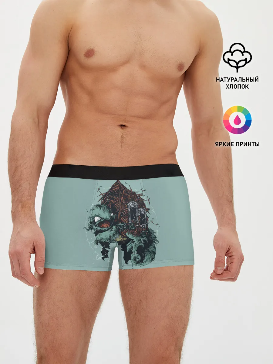 Мужские трусы боксеры / Домик Сквиртла