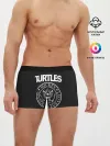 Мужские трусы боксеры / Ramones x TMNT