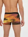 Мужские трусы боксеры / АФРИКАНСКАЯ САВАННА