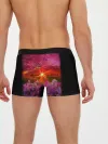 Мужские трусы боксеры / МАЛИНОВЫЙ ЗАКАТ
