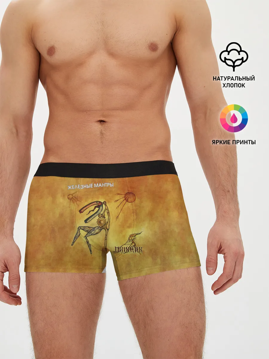 Мужские трусы боксеры / ЖЕЛЕЗНЫЕ МАНТРЫ Пикник