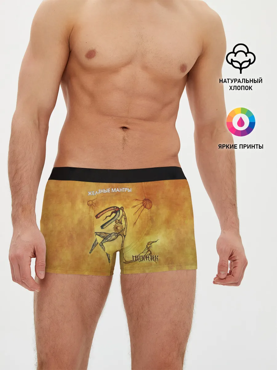Мужские трусы боксеры / ЖЕЛЕЗНЫЕ МАНТРЫ Пикник