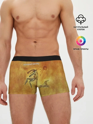 Мужские трусы боксеры / ЖЕЛЕЗНЫЕ МАНТРЫ Пикник