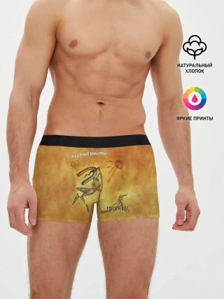 Мужские трусы боксеры / ЖЕЛЕЗНЫЕ МАНТРЫ Пикник