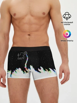 Мужские трусы боксеры / Затерянный в космосе