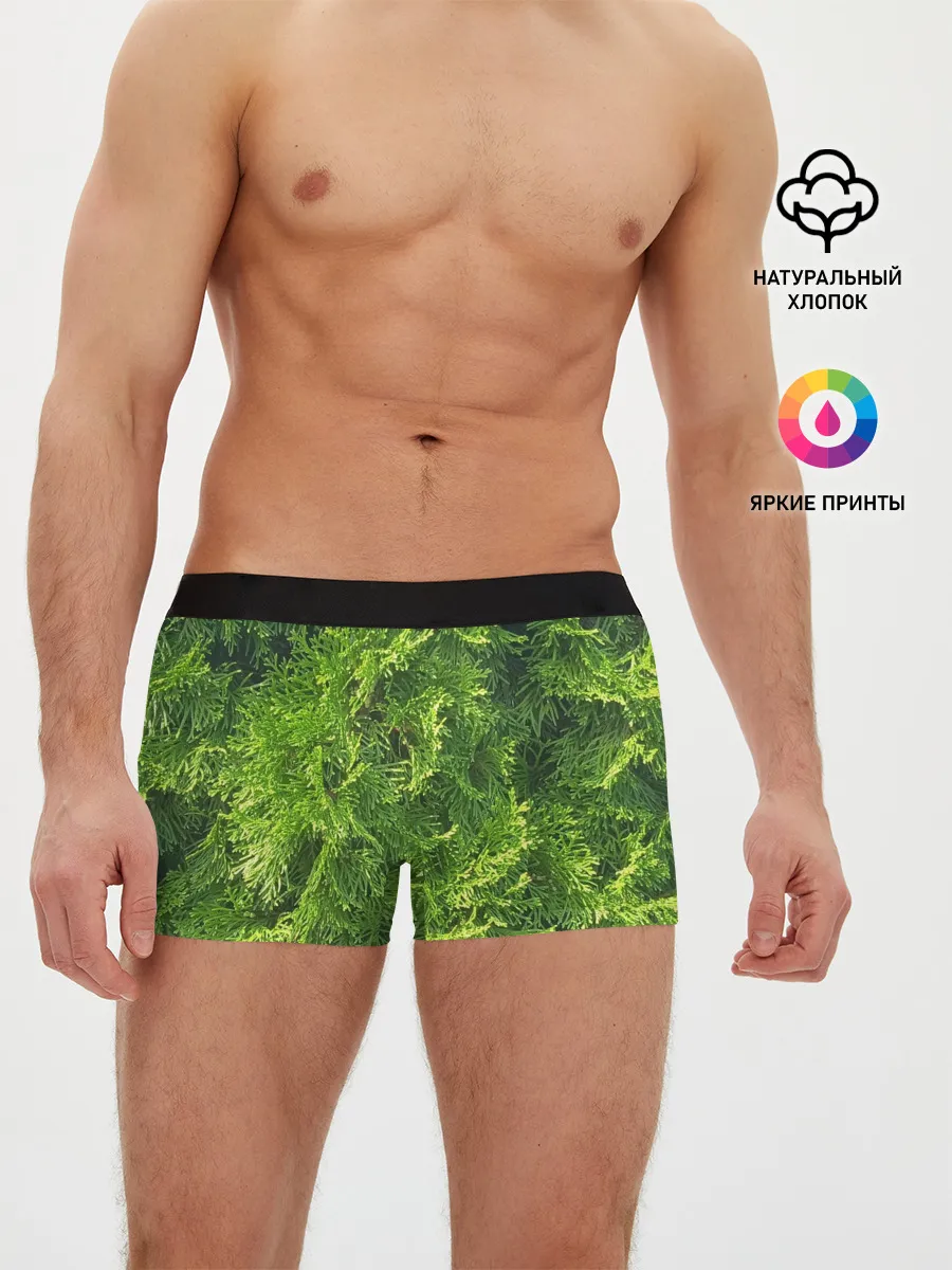Мужские трусы боксеры / Хвойная масса
