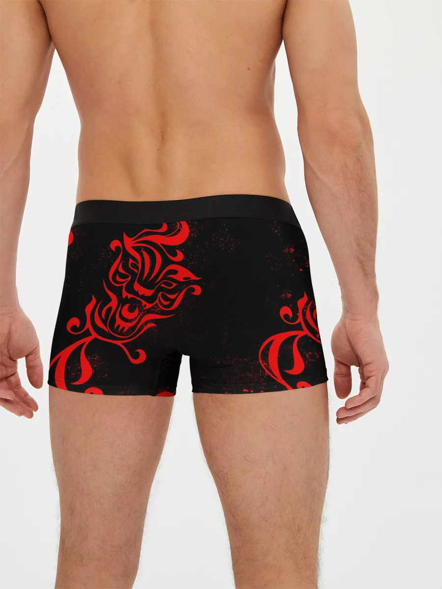 Мужские трусы боксеры / КАЗУТОРА ХАНЕМИЯ | ВАЛЬХАЛЛА