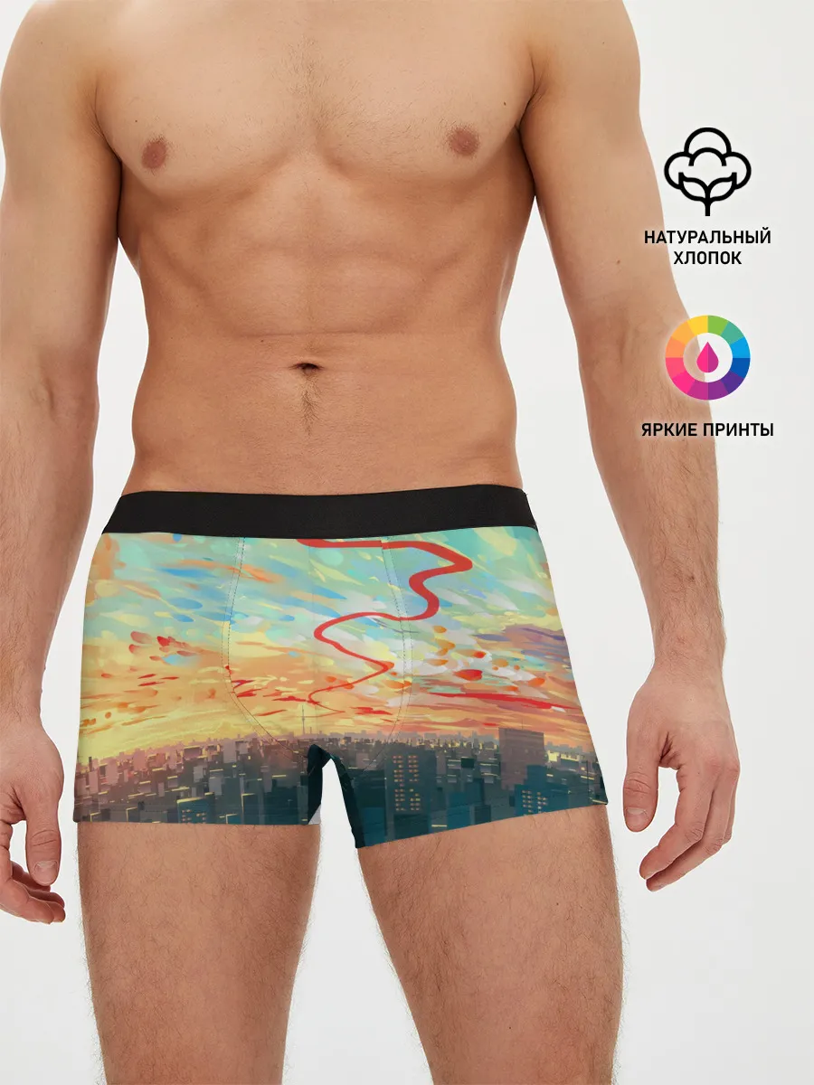 Мужские трусы боксеры / Токио красками