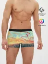 Мужские трусы боксеры / Токио красками
