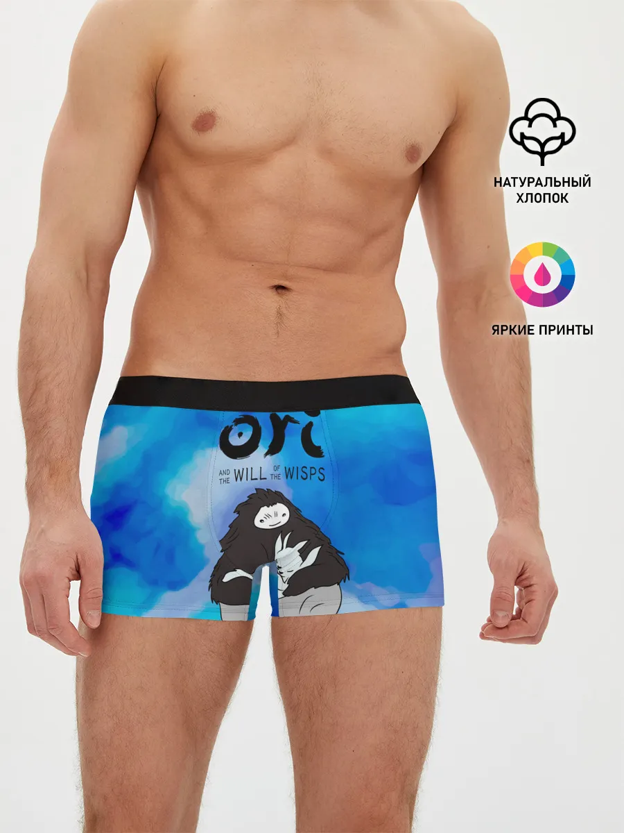 Мужские трусы боксеры / Ori and the Will of the Wisps