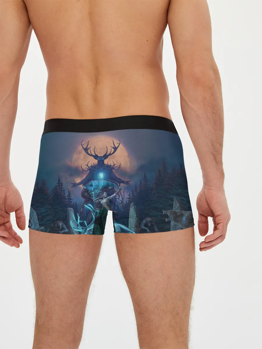 Мужские трусы боксеры / The Elder Scrolls