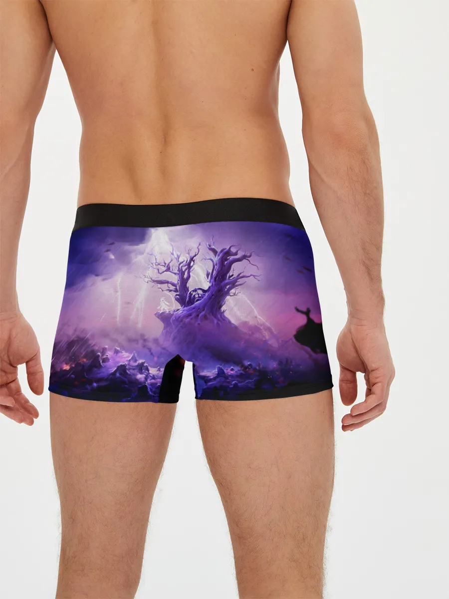 Мужские трусы боксеры / Ori and the Will of the Wisps