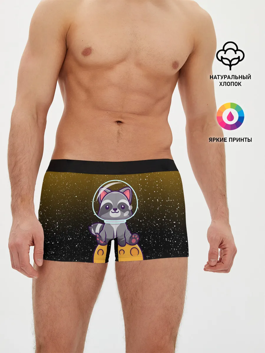 Мужские трусы боксеры / ЕНОТ АСТРОНАВТ | ЛУННЫЙ ЕНОТ