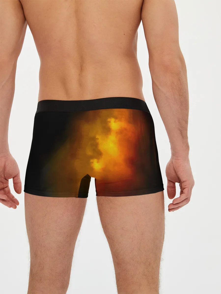 Мужские трусы боксеры / Тараканы! Дмитрий Спирин