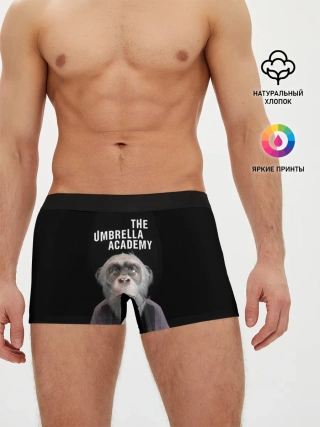 Мужские трусы боксеры / Пого | Академия Амбрелла
