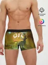 Мужские трусы боксеры / Ori and the Will of the Wisps