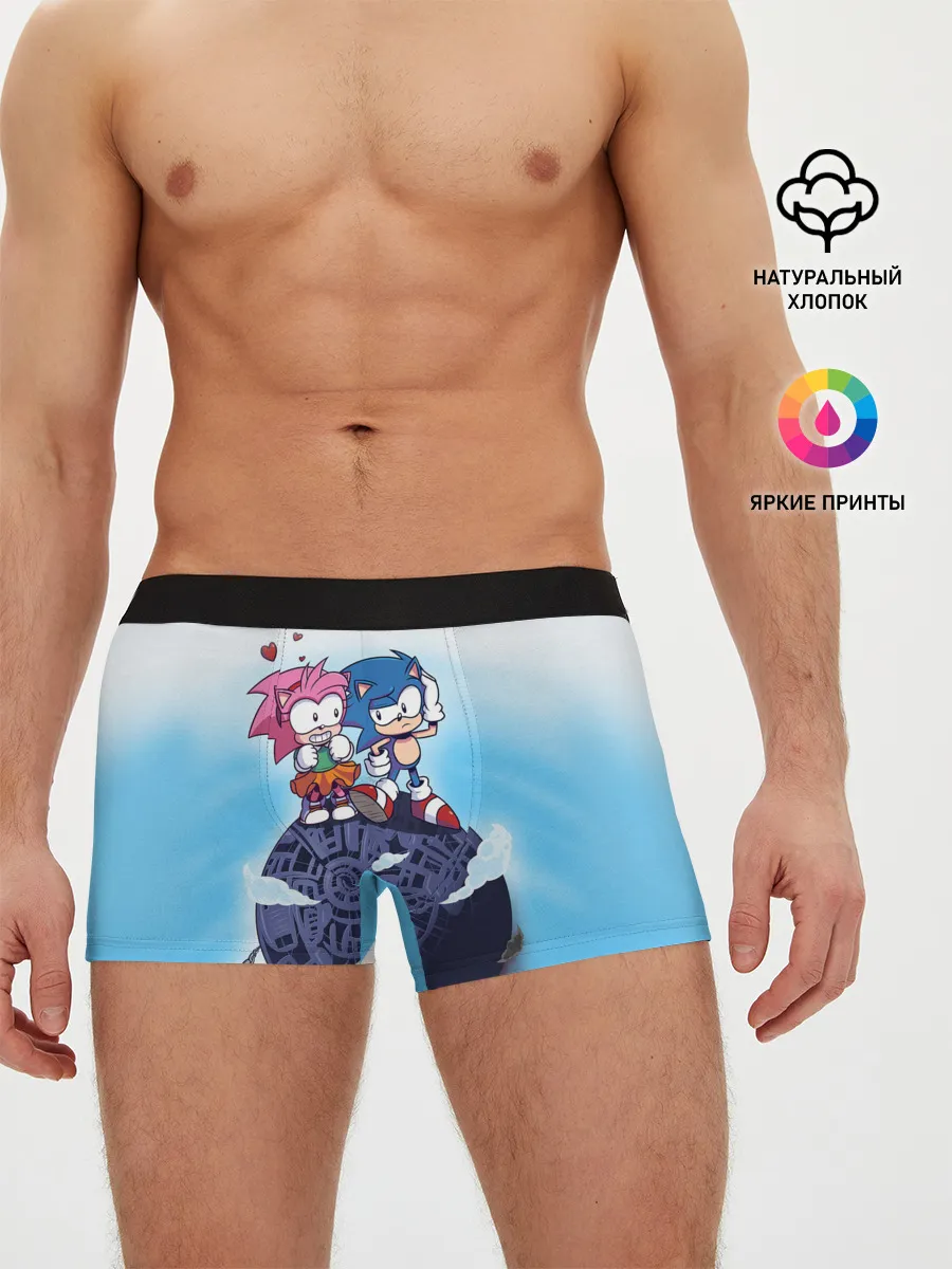 Мужские трусы боксеры / SONIC | AMY ROSE