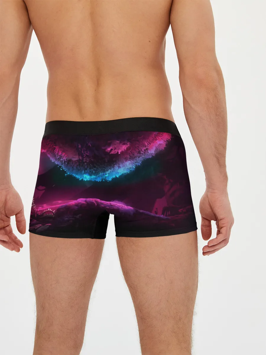 Мужские трусы боксеры / Ori and the Will of the Wisps