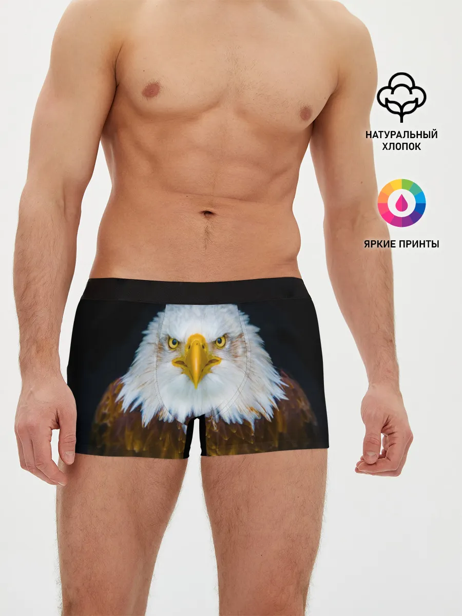 Мужские трусы боксеры / Белоголовый орлан