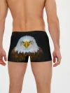 Мужские трусы боксеры / Белоголовый орлан